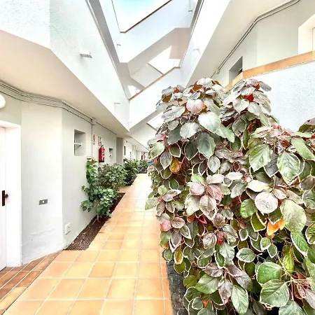 Studio With Pool,wifi, 600 M From Cristianos
